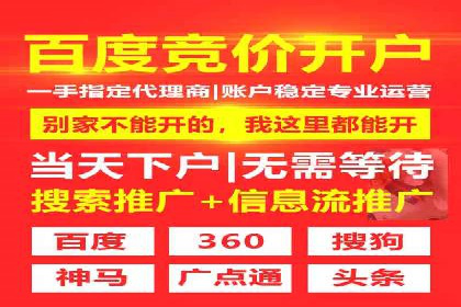 百度网络推广实战技巧：案例解析，让广告投放更精准